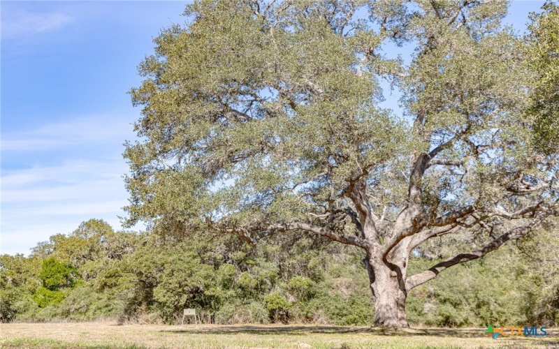 725 Private Road 1581, Hallettsville, TX 77964, 3 Habitaciones Habitaciones , ,2 BañosBaños,Granja,En Venta,725 Private Road 1581,0,601032