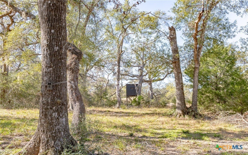 725 Private Road 1581, Hallettsville, TX 77964, 3 Habitaciones Habitaciones , ,2 BañosBaños,Granja,En Venta,725 Private Road 1581,0,601032