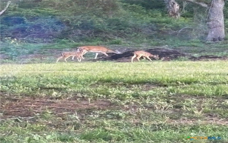 725 Private Road 1581, Hallettsville, TX 77964, 3 Habitaciones Habitaciones , ,2 BañosBaños,Granja,En Venta,725 Private Road 1581,0,601032