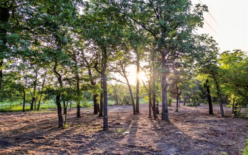 Lots 1-5 Hwy 274, Tool, TX 75143, ,Commercial Sale,En Venta,Lots 1-5 Hwy 274,0,21149932