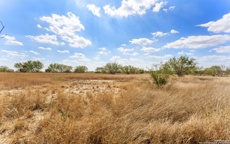 3041 FM 1333, Poteet, TX 78065, 4 Habitaciones Habitaciones , ,2 BañosBaños,Residential,En Venta,3041 FM 1333,0,1933085