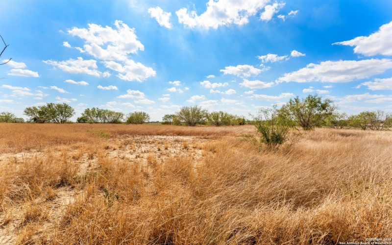 3041 FM 1333, Poteet, TX 78065, 4 Habitaciones Habitaciones , ,2 BañosBaños,Residential,En Venta,3041 FM 1333,0,1933085