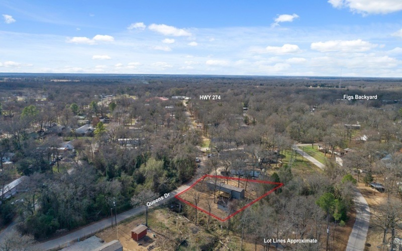 721 Queens Dr, Tool, TX 75143, 3 Bedrooms Bedrooms, ,2 BathroomsBathrooms,Residential,For Sale,721 Queens Dr,0,110155