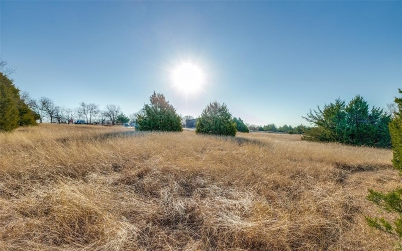 Tbd County Road 317, McKinney, TX 75069, ,Tierra,En Venta,Tbd County Road 317,0,21150481