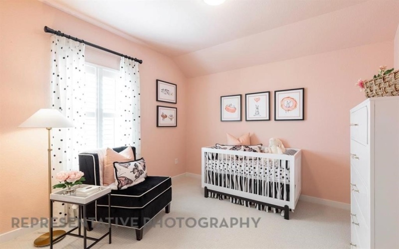 2132 Nerello Way, McLendon Chisholm, TX 75032, 4 Bedrooms Bedrooms, ,3 BathroomsBathrooms,Residential,For Sale,2132 Nerello Way,0,21152106