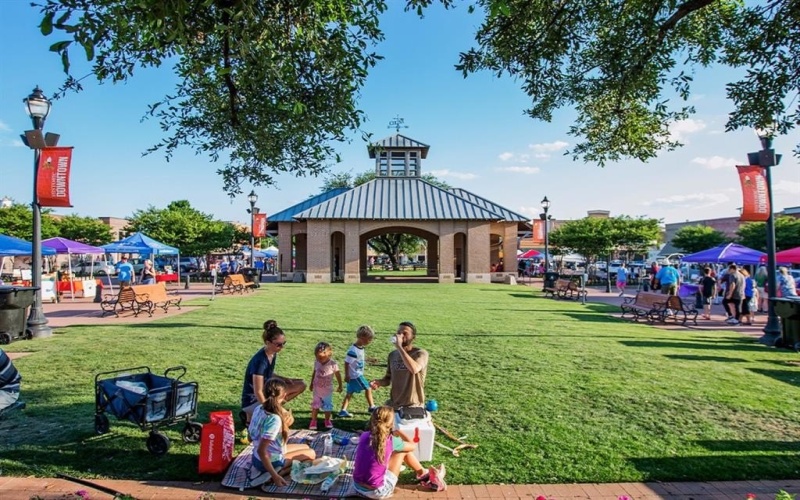 6865 CR 177 Road, Celina, TX 75009, ,Land,For Sale,6865 CR 177 Road,0,21152499