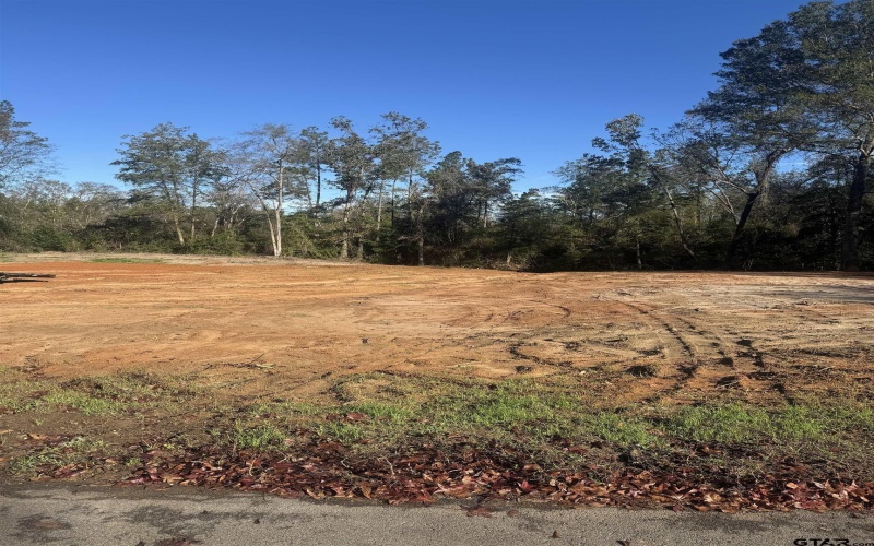 19076 Pinedale Circle, Flint, TX 75762, 4 Bedrooms Bedrooms, ,2 BathroomsBathrooms,Residential,For Sale,19076 Pinedale Circle,0,26000819