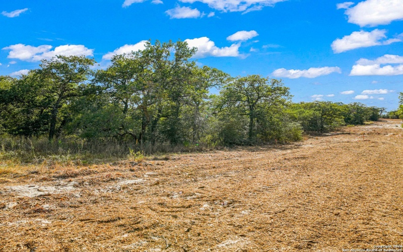 12180 FM 1117, Seguin, TX 78155, 4 Bedrooms Bedrooms, ,2 BathroomsBathrooms,Residential,For Sale,12180 FM 1117,0,1934211