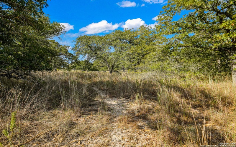 12180 FM 1117, Seguin, TX 78155, 4 Bedrooms Bedrooms, ,2 BathroomsBathrooms,Residential,For Sale,12180 FM 1117,0,1934211