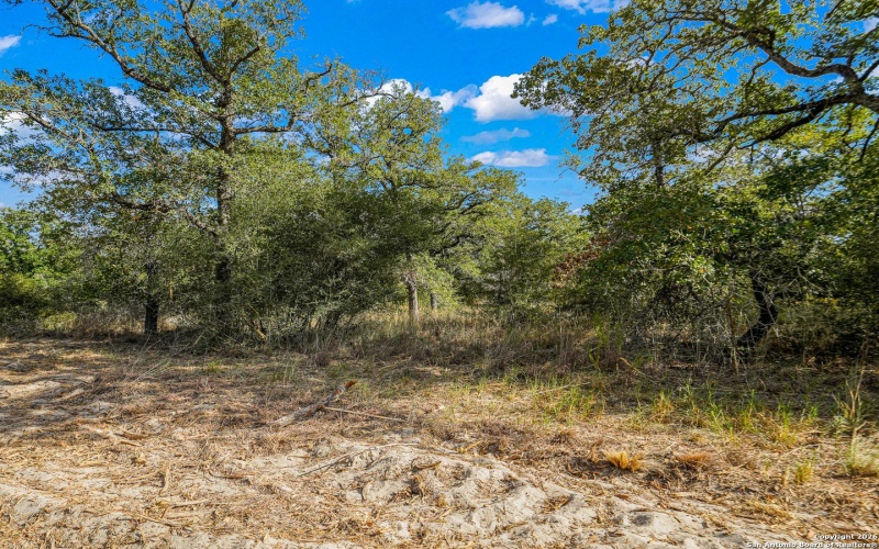 12180 FM 1117, Seguin, TX 78155, 4 Bedrooms Bedrooms, ,2 BathroomsBathrooms,Residential,For Sale,12180 FM 1117,0,1934211