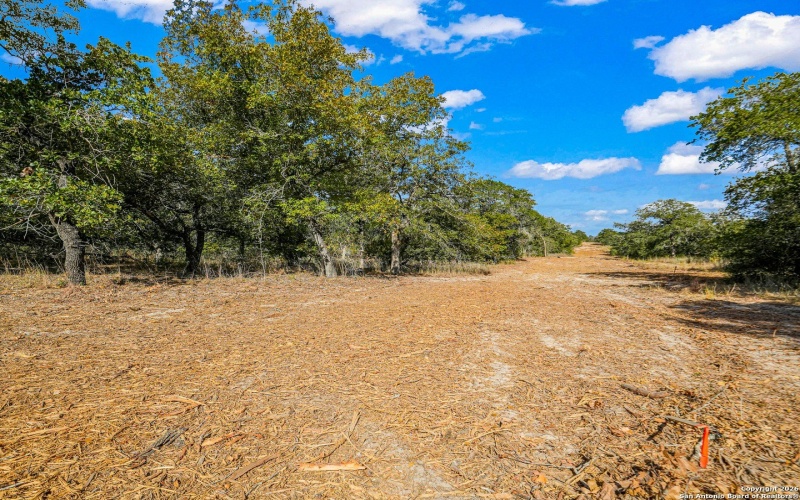 12180 FM 1117, Seguin, TX 78155, 4 Bedrooms Bedrooms, ,2 BathroomsBathrooms,Residential,For Sale,12180 FM 1117,0,1934211