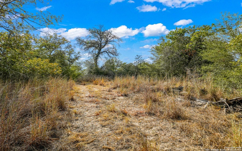 12180 FM 1117, Seguin, TX 78155, 4 Bedrooms Bedrooms, ,2 BathroomsBathrooms,Residential,For Sale,12180 FM 1117,0,1934211