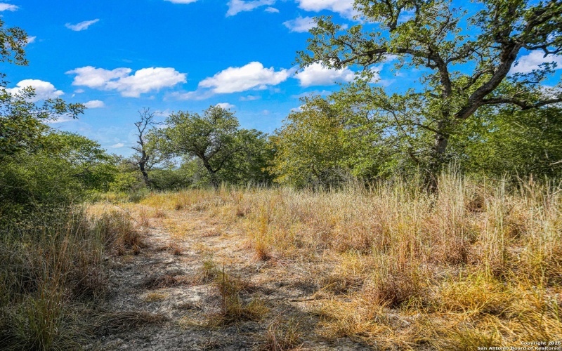 12180 FM 1117, Seguin, TX 78155, 4 Bedrooms Bedrooms, ,2 BathroomsBathrooms,Residential,For Sale,12180 FM 1117,0,1934211