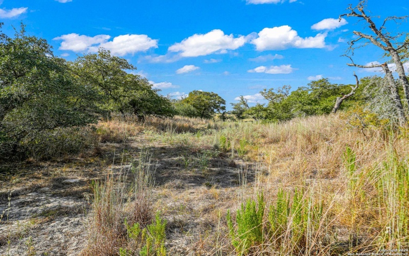 12180 FM 1117, Seguin, TX 78155, 4 Bedrooms Bedrooms, ,2 BathroomsBathrooms,Residential,For Sale,12180 FM 1117,0,1934211