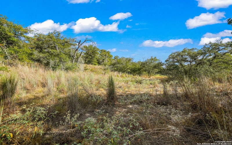 12180 FM 1117, Seguin, TX 78155, 4 Bedrooms Bedrooms, ,2 BathroomsBathrooms,Residential,For Sale,12180 FM 1117,0,1934211