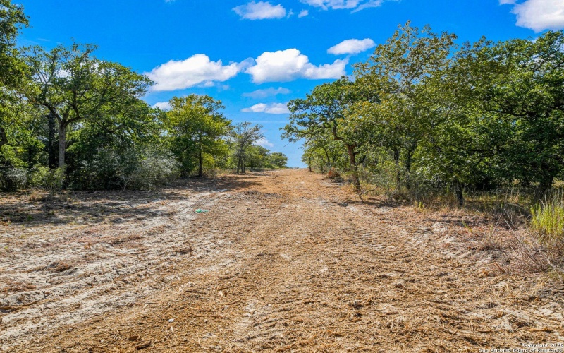 12180 FM 1117, Seguin, TX 78155, 4 Bedrooms Bedrooms, ,2 BathroomsBathrooms,Residential,For Sale,12180 FM 1117,0,1934211