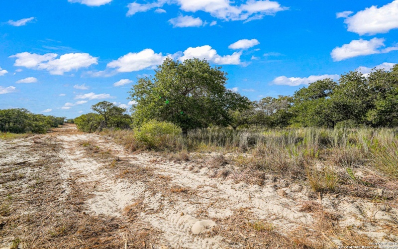 12180 FM 1117, Seguin, TX 78155, 4 Bedrooms Bedrooms, ,2 BathroomsBathrooms,Residential,For Sale,12180 FM 1117,0,1934211