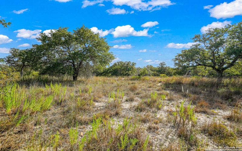 12180 FM 1117, Seguin, TX 78155, 4 Bedrooms Bedrooms, ,2 BathroomsBathrooms,Residential,For Sale,12180 FM 1117,0,1934211