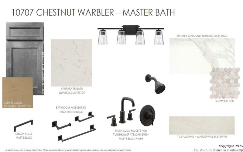 10707 Chestnut Warbler, New Braunfels, TX 78132, 4 Bedrooms Bedrooms, ,3 BathroomsBathrooms,Residential,For Sale,10707 Chestnut Warbler,0,1934442