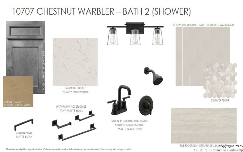 10707 Chestnut Warbler, New Braunfels, TX 78132, 4 Bedrooms Bedrooms, ,3 BathroomsBathrooms,Residential,For Sale,10707 Chestnut Warbler,0,1934442