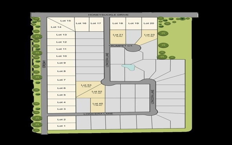 119 Trumpet Court, Paradise, TX 76073, 4 Habitaciones Habitaciones , ,2 BañosBaños,Residential,En Venta,119 Trumpet Court,0,21134627
