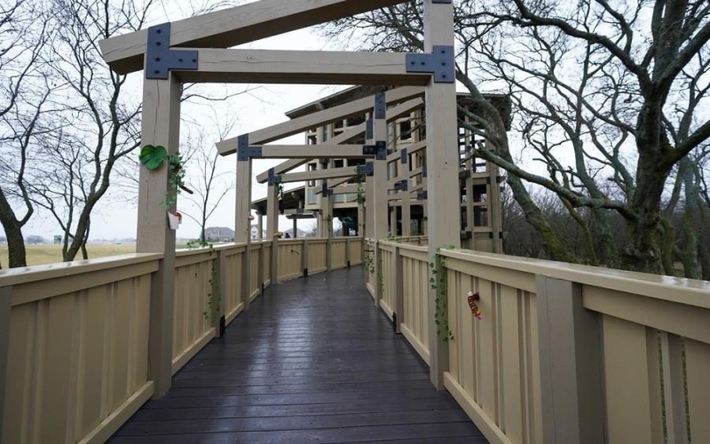 745 Bridle Path Parkway, Aubrey, TX 76227, 4 Habitaciones Habitaciones , ,3 BañosBaños,Residential,En Venta,745 Bridle Path Parkway,0,21156261