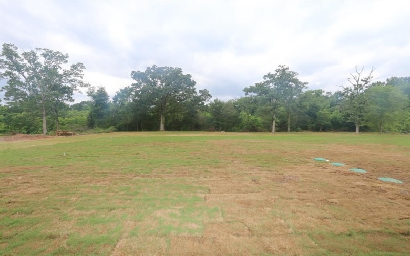 16511 Cooper Way, Tyler, TX 75703, 4 Bedrooms Bedrooms, ,3 BathroomsBathrooms,Residential,For Sale,16511 Cooper Way,0,21156510