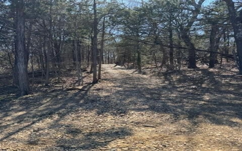 281 Westminister Drive, Pottsboro, TX 75076, 3 Habitaciones Habitaciones , ,3 BañosBaños,Residential,En Venta,281 Westminister Drive,0,21156520