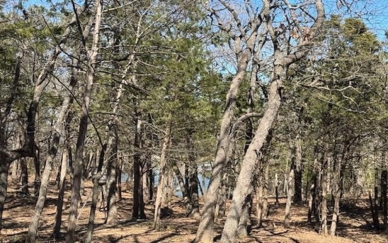 281 Westminister Drive, Pottsboro, TX 75076, 3 Habitaciones Habitaciones , ,3 BañosBaños,Residential,En Venta,281 Westminister Drive,0,21156520