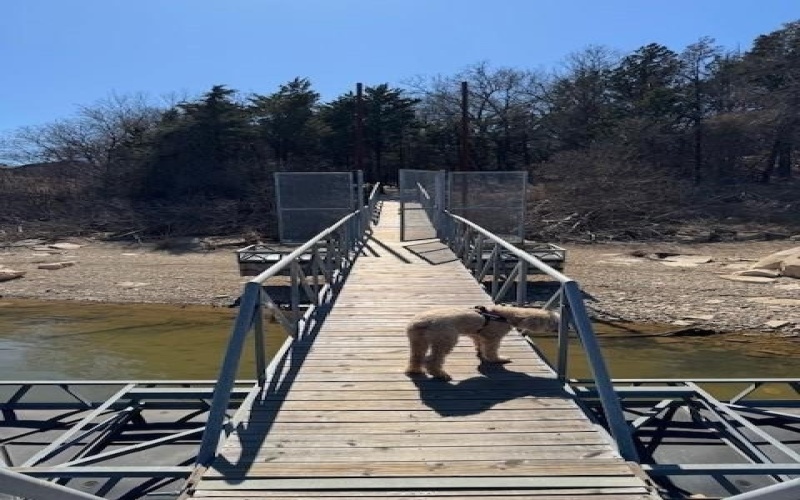 281 Westminister Drive, Pottsboro, TX 75076, 3 Habitaciones Habitaciones , ,3 BañosBaños,Residential,En Venta,281 Westminister Drive,0,21156520