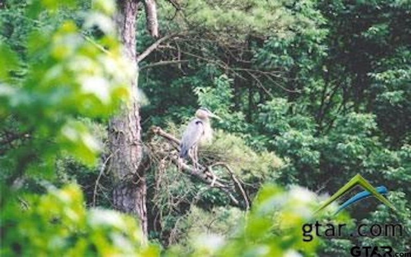 117 Cypress Circle, Mt Vernon, TX 75457, 3 Habitaciones Habitaciones , ,2 BañosBaños,Residential,En Venta,117 Cypress Circle,0,26000858