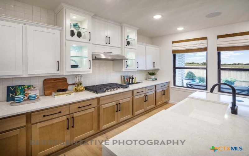 1715 Seekat Drive, New Braunfels, TX 78132, 4 Bedrooms Bedrooms, ,3 BathroomsBathrooms,Residential,For Sale,1715 Seekat Drive,0,602248