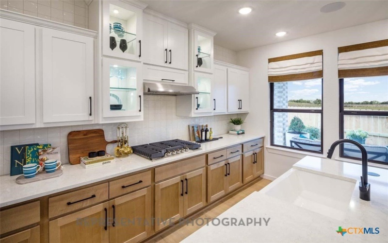 1715 Seekat Drive, New Braunfels, TX 78132, 4 Bedrooms Bedrooms, ,3 BathroomsBathrooms,Residential,For Sale,1715 Seekat Drive,0,602248