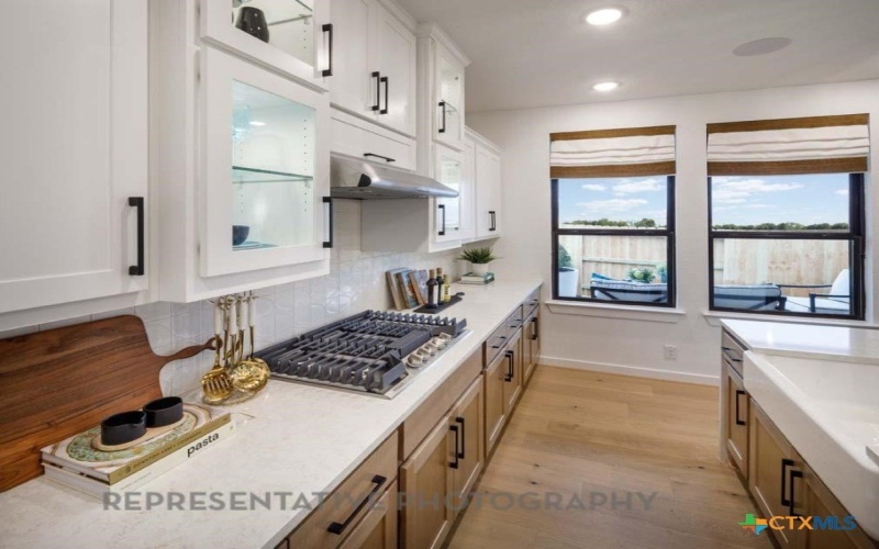 1715 Seekat Drive, New Braunfels, TX 78132, 4 Bedrooms Bedrooms, ,3 BathroomsBathrooms,Residential,For Sale,1715 Seekat Drive,0,602248