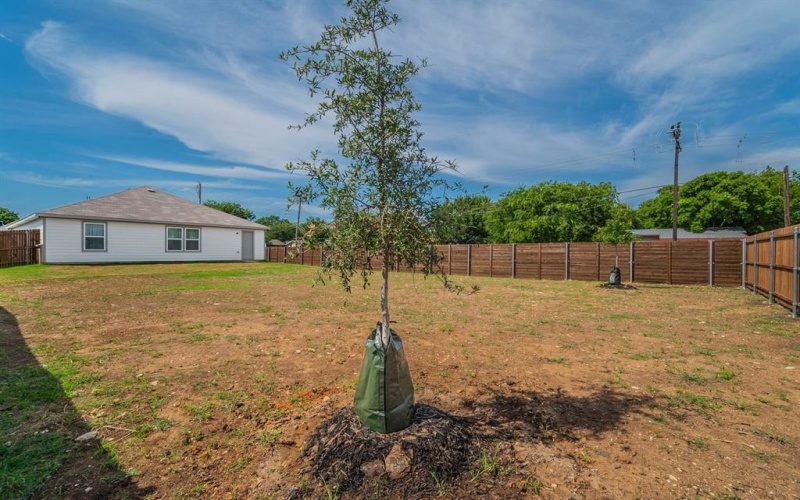 440 Rose Avenue, Cleburne, TX 76033, 3 Bedrooms Bedrooms, ,2 BathroomsBathrooms,Residential,For Sale,440 Rose Avenue,0,21159579