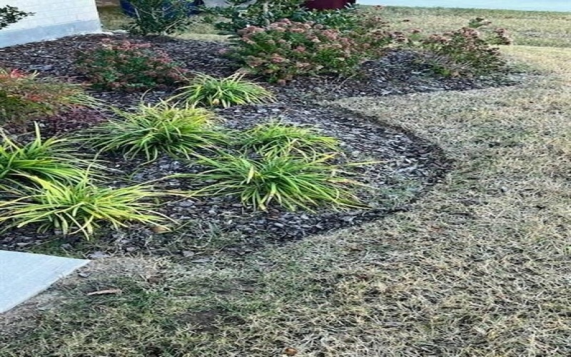 1721 RUSHPEA Drive, Royse City, TX 75189, 4 Bedrooms Bedrooms, ,2 BathroomsBathrooms,Residential,For Sale,1721 RUSHPEA Drive,0,21158239