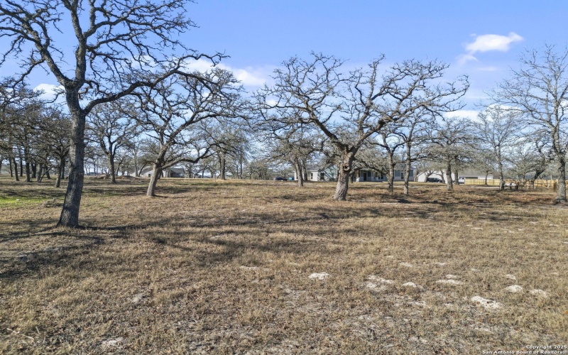 161 HONDO RIDGE, La Vernia, TX 78121, 4 Bedrooms Bedrooms, ,3 BathroomsBathrooms,Residential,For Sale,161 HONDO RIDGE,0,1935486