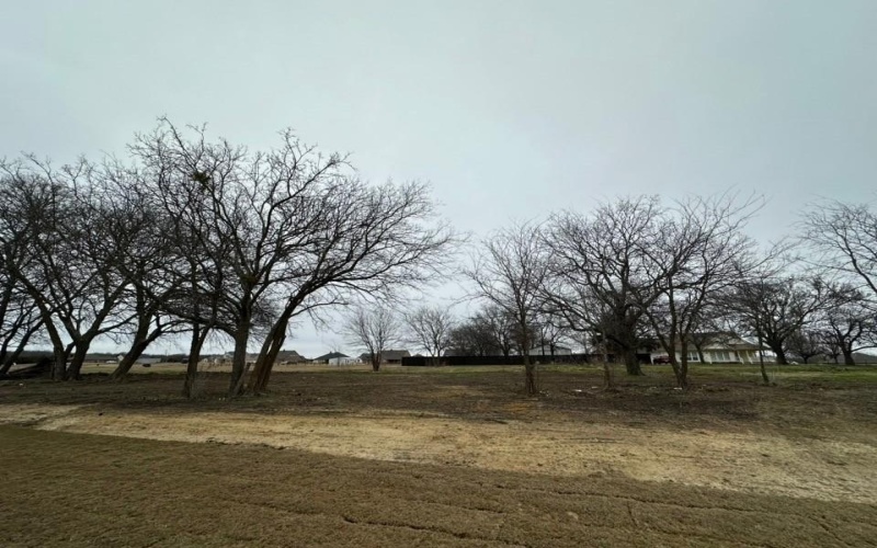 290 Cobb Road, Leonard, TX 75452, 4 Bedrooms Bedrooms, ,3 BathroomsBathrooms,Residential,For Sale,290 Cobb Road,0,21160102