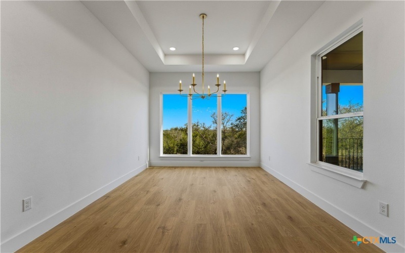 1552 Vintage Way, New Braunfels, TX 78132, 4 Habitaciones Habitaciones , ,3 BañosBaños,Residential,En Venta,1552 Vintage Way,0,602571