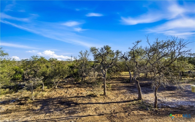 1552 Vintage Way, New Braunfels, TX 78132, 4 Habitaciones Habitaciones , ,3 BañosBaños,Residential,En Venta,1552 Vintage Way,0,602571