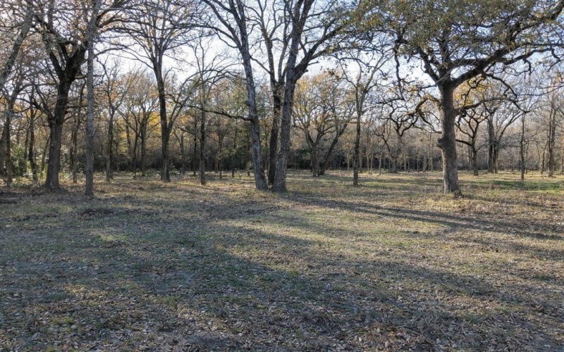 122 Oakmont Dr, Mabank, TX 75147, 4 Bedrooms Bedrooms, ,5 BathroomsBathrooms,Residential,For Sale,122 Oakmont Dr,0,110216