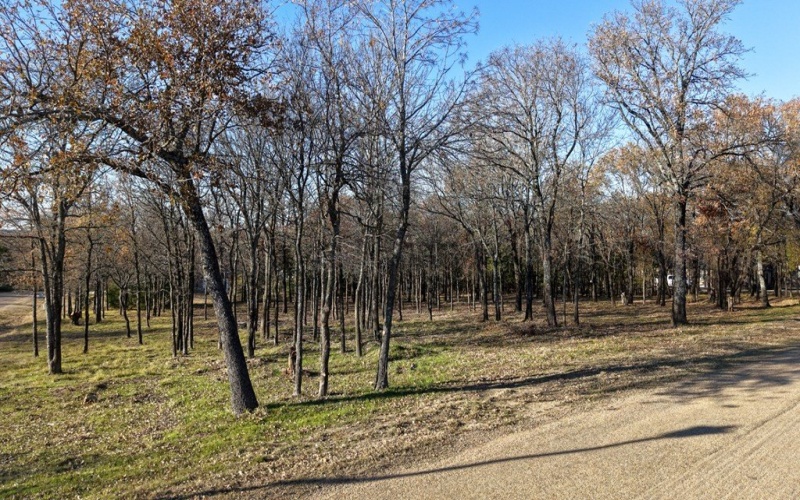 100 Oakmont Dr, Mabank, TX 75147, 4 Habitaciones Habitaciones , ,3 BañosBaños,Residential,En Venta,100 Oakmont Dr,0,110226