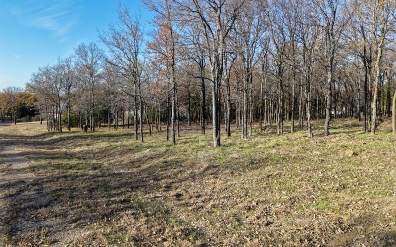 100 Oakmont Dr, Mabank, TX 75147, 4 Habitaciones Habitaciones , ,3 BañosBaños,Residential,En Venta,100 Oakmont Dr,0,110226