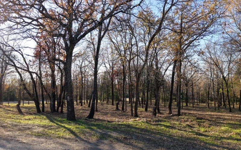 100 Oakmont Dr, Mabank, TX 75147, 4 Habitaciones Habitaciones , ,3 BañosBaños,Residential,En Venta,100 Oakmont Dr,0,110226