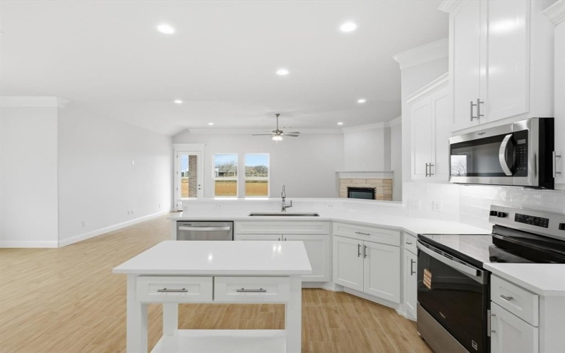 1318 Oleander Drive, Tolar, TX 76476, 3 Bedrooms Bedrooms, ,2 BathroomsBathrooms,Residential,For Sale,1318 Oleander Drive,0,21159450