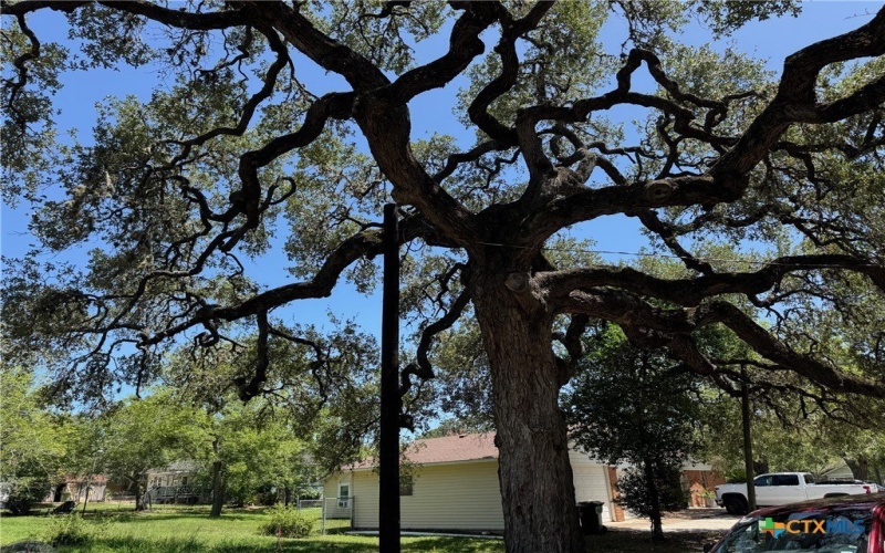 203 Villa Street, Cuero, TX 77954, 4 Bedrooms Bedrooms, ,2 BathroomsBathrooms,Residential,For Sale,203 Villa Street,0,602703