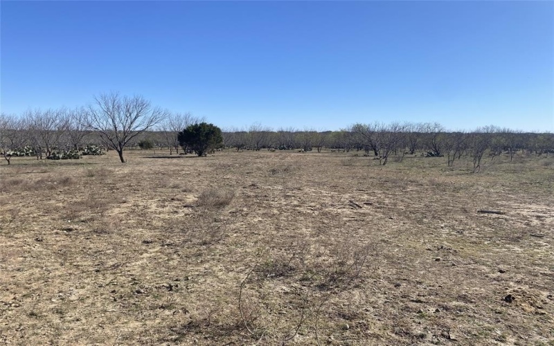15605 County Road 211, Brookesmith, TX 76827, ,Land,For Sale,15605 County Road 211,0,21159304