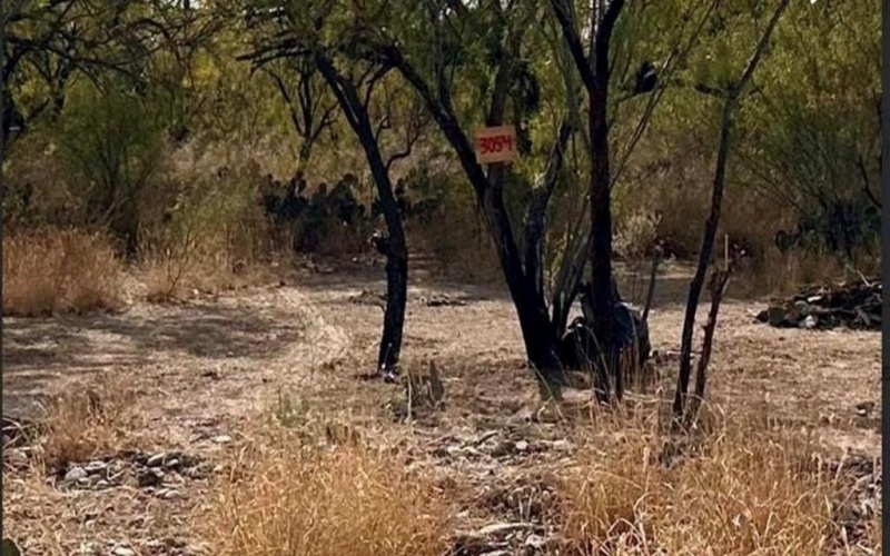 3054 Rosita Valley Rd, Eagle Pass, TX 78852, 3 Bedrooms Bedrooms, ,2 BathroomsBathrooms,Residential,For Sale,3054 Rosita Valley Rd,0,83060