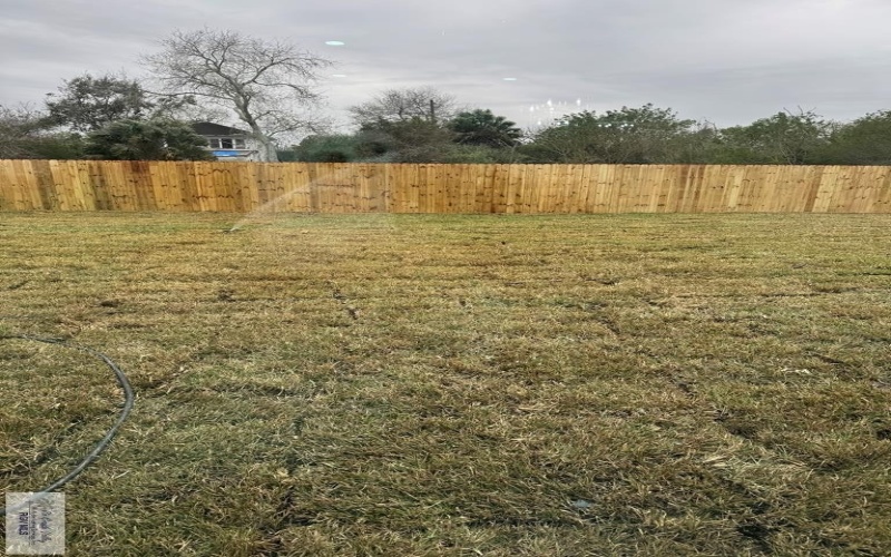 8788 JUPITER ST., BROWNSVILLE, TX 78521, 4 Bedrooms Bedrooms, ,3 BathroomsBathrooms,Residential,For Sale,8788 JUPITER ST.,0,29771009