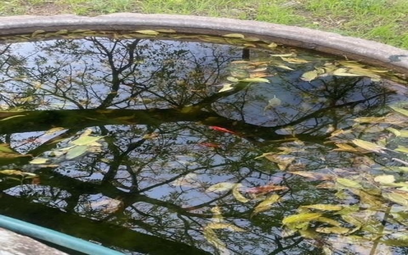 6645 E FM 219, Hico, TX 76457, 2 Habitaciones Habitaciones , ,1 BañoBaños,Residential,En Venta,6645 E FM 219,0,21163246